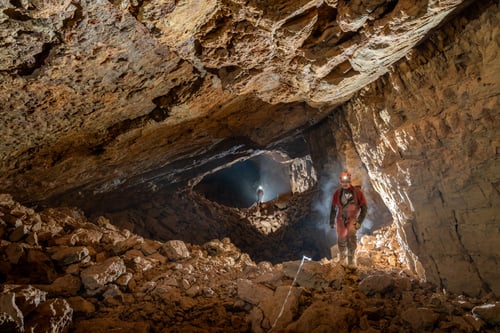 Mindless Optimism in Redhouse Lane Swallet