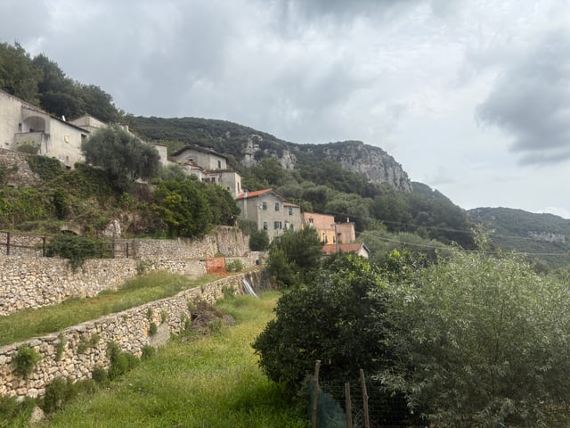IMG_4997.JPG